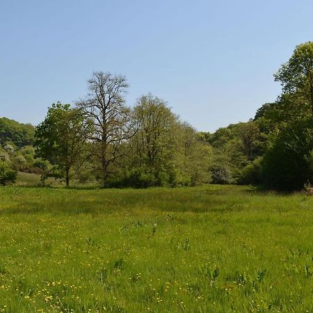 فندق Aldridge Mill Oakford المظهر الخارجي الصورة