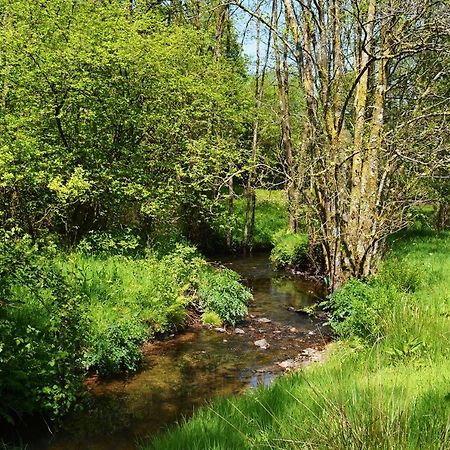 فندق Aldridge Mill Oakford المظهر الخارجي الصورة