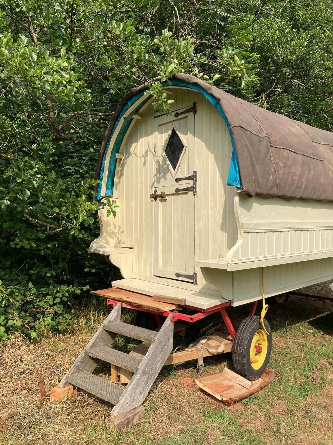 فندق Aldridge Mill Oakford المظهر الخارجي الصورة