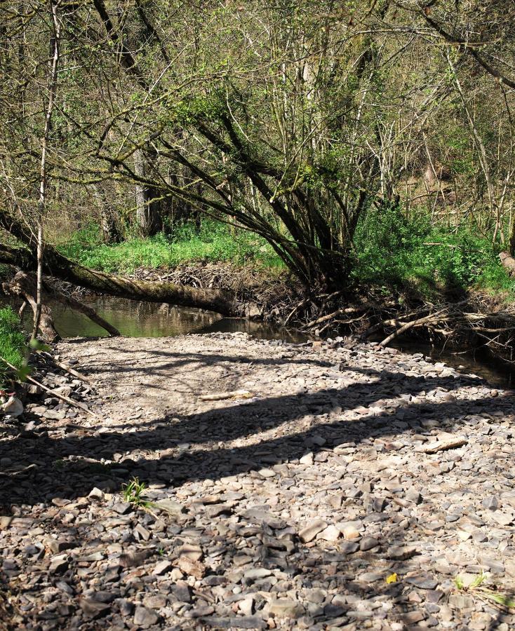 فندق Aldridge Mill Oakford المظهر الخارجي الصورة
