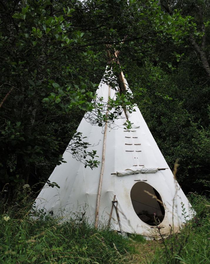 فندق Aldridge Mill Oakford المظهر الخارجي الصورة