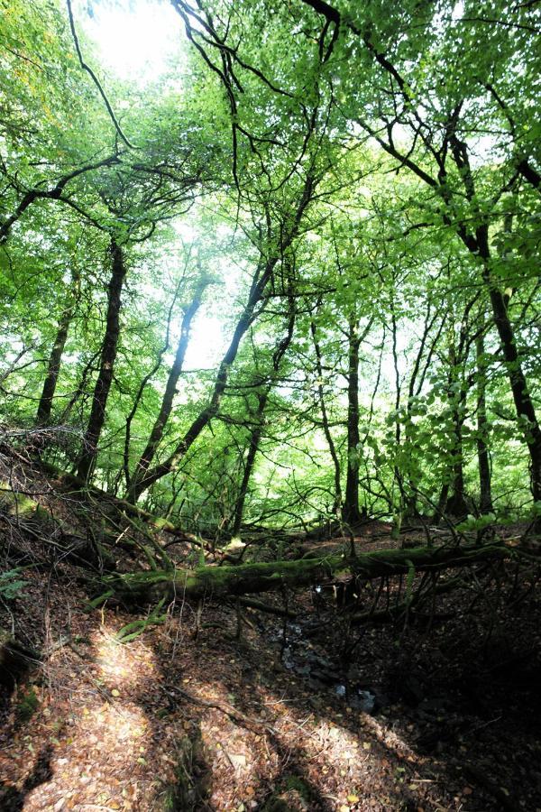 فندق Aldridge Mill Oakford المظهر الخارجي الصورة