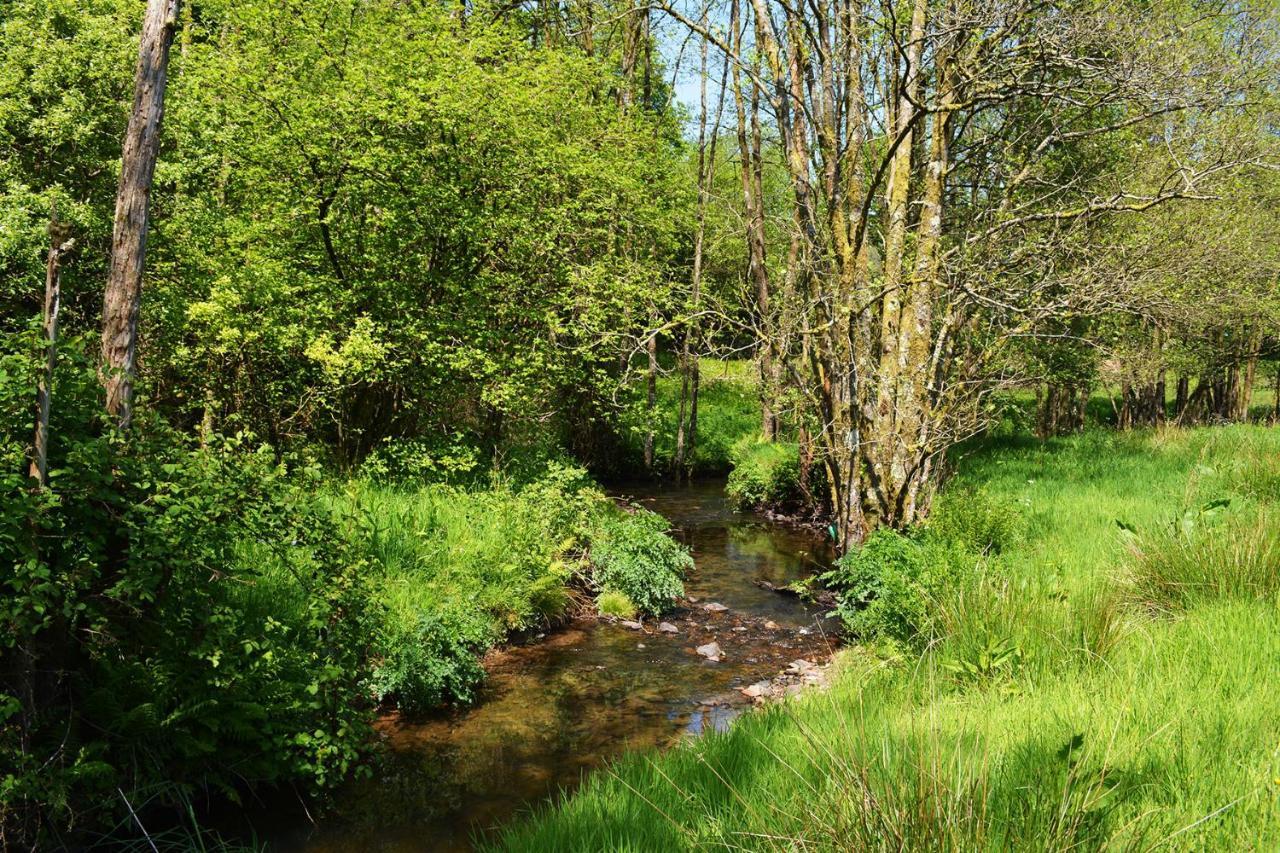 فندق Aldridge Mill Oakford المظهر الخارجي الصورة